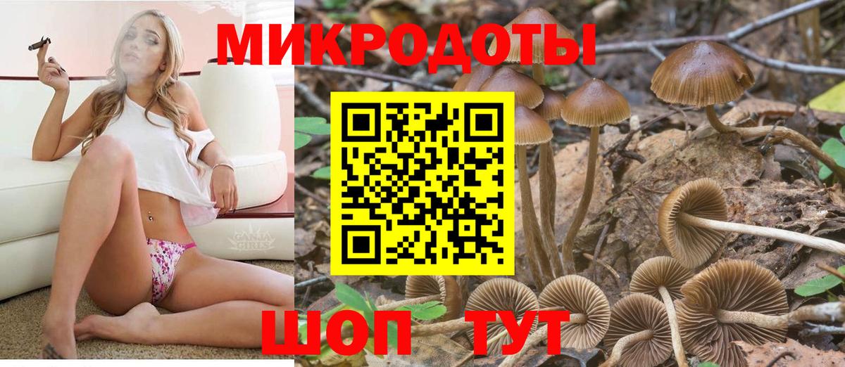 Галлюциногенные грибы GOLDEN TEACHER  Вход с VPN  Красногорск 