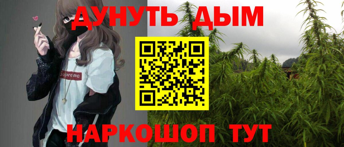 Конопля гибрид Красногорск